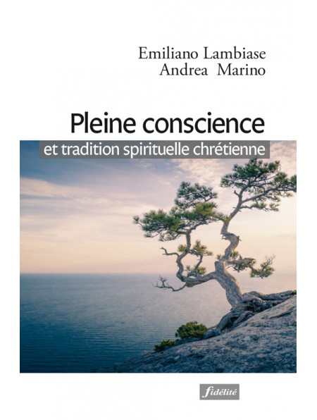 Pleine conscience et tradition spirituelle chrétienne